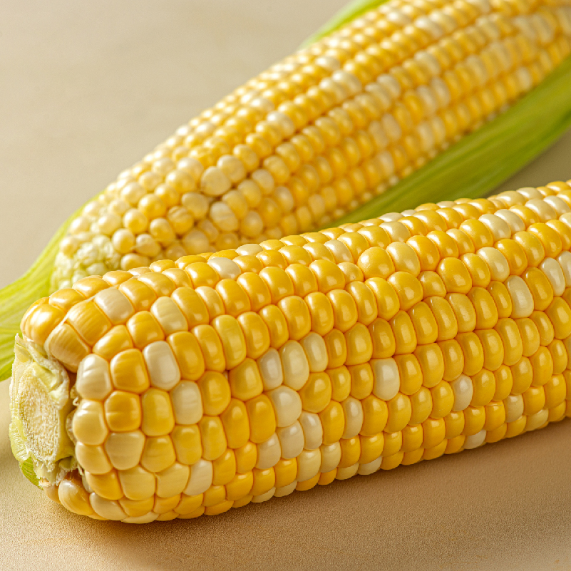 ǰ 
